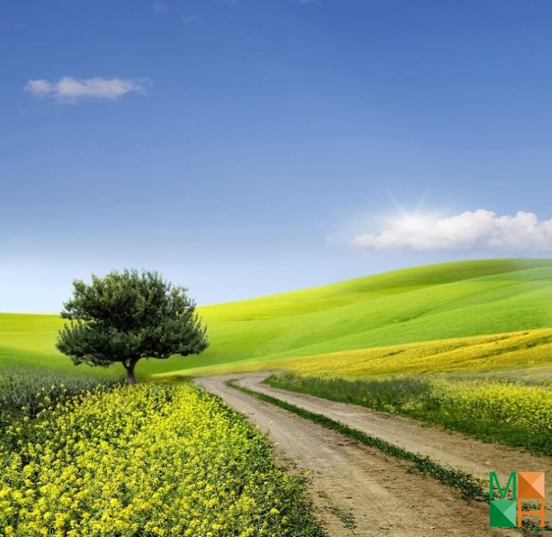 Tranh dán tường cho phòng khách đẹp tại Hà Nội NA - 265